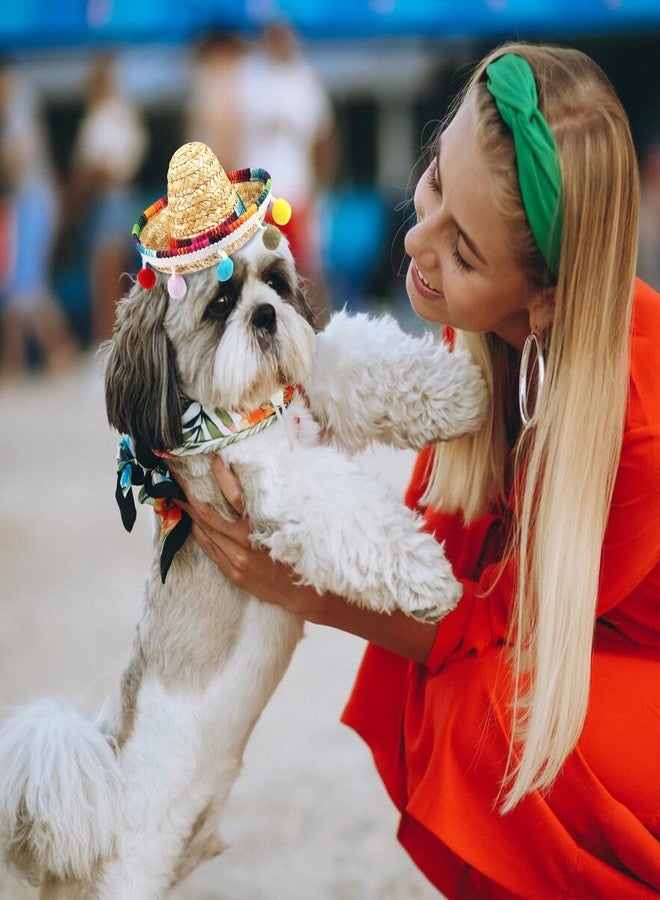 ALIBBON Mini Sombrero Straw Hat - Multicolor Dog & Cat Hat for Mexican Fiesta - Image 4